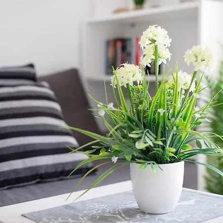 Ferienhaus Casa Campana *